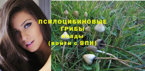 бутират Белокуриха